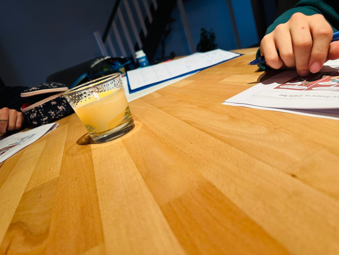 LERNBETREUUNG alle Schulstufen Lernbetreuung